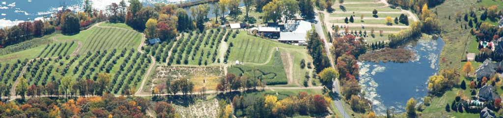 Aerial view of Pine Tree Apple Orchard