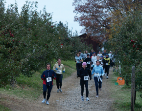 Run for the Apples at Pine Tree Apple Orchard