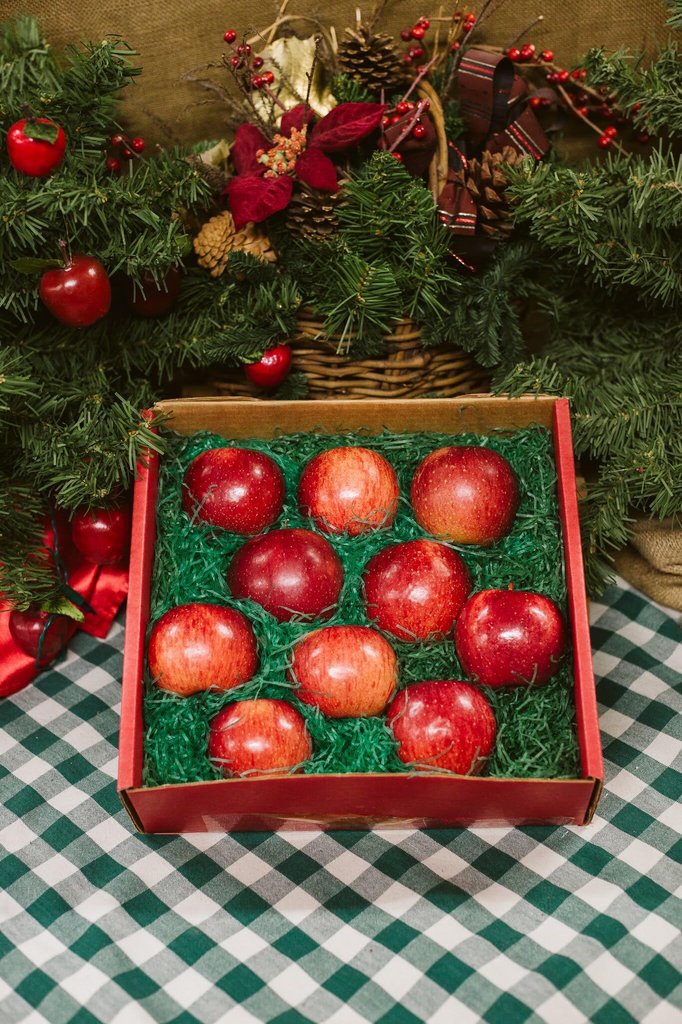 Pine Tree Apple Orchard Gift Boxes