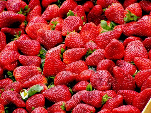 Picked for you strawberries at Pine Tree Apple Orchard